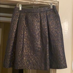 Great Condition skirt